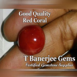 Red Coral (রক্ত প্রবাল) {T Banerjee Gems / Certified Gemstone Supplier}