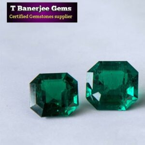 Emerald-Colombian Emerald / Panna (পান্না) {T Banerjee Gems / Certified Gemstone Supplier}